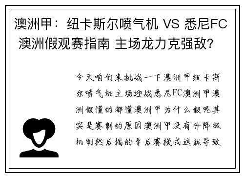 澳洲甲：纽卡斯尔喷气机 VS 悉尼FC 澳洲假观赛指南 主场龙力克强敌？